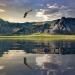 Get into The CORE – Financial Liberation Probabilities Awaits